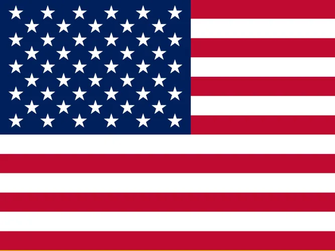 USA Market Entry